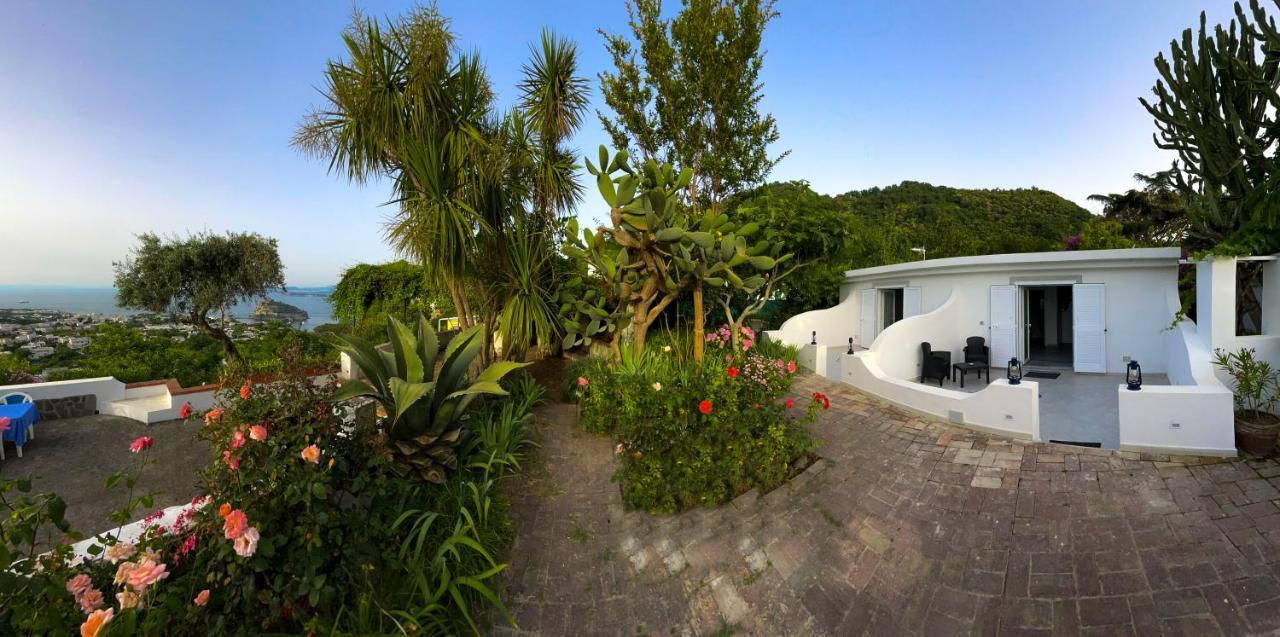 Barracudasuite Ischia Exterior photo